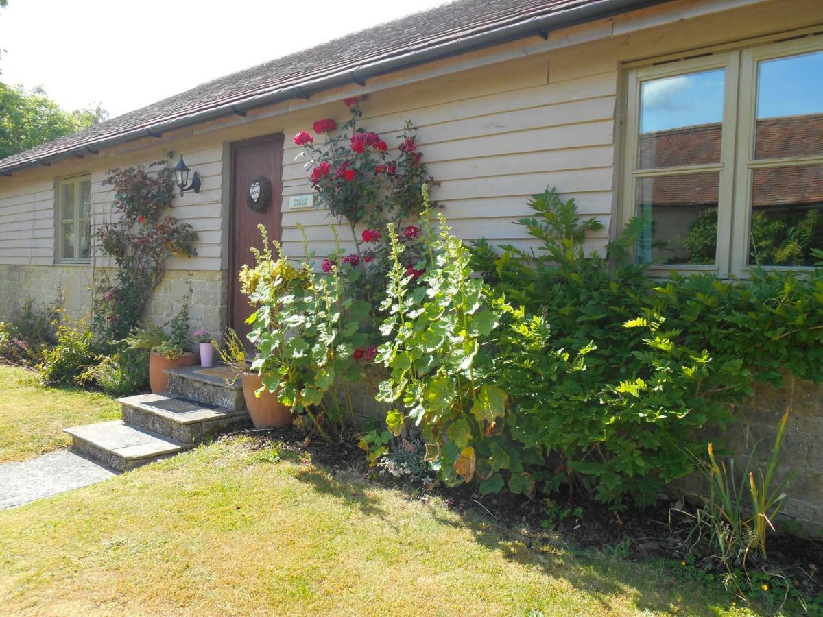 Spacious Swallow Cottage Tisbury Dış mekan fotoğraf