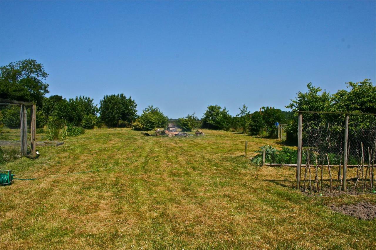 Spacious Swallow Cottage Tisbury Dış mekan fotoğraf